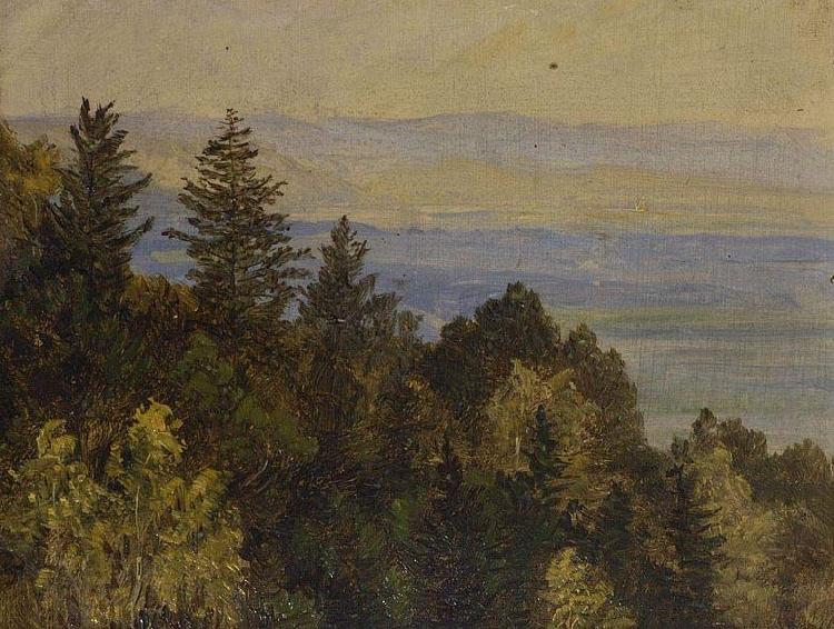 Carl Gustav Carus Blick uber einen bewaldeten Abhang in weite Gebirgslandschaft France oil painting art
